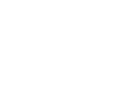 Veille Logo Gris